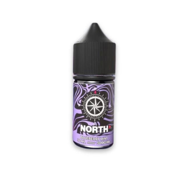 North Salts E-Liquid 30ML Best Flavor Blueberry Mint