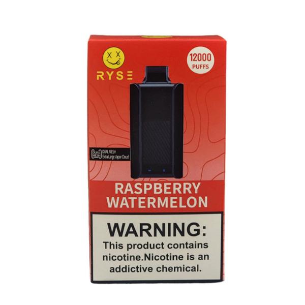 Best Deal RYSE 12000 Puffs Rechargeable Disposable Vape 18mL Raspberry Watermelon