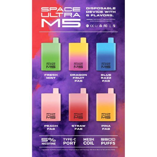 M5 FAB 5500 Puffs By Space Ultra Rechargeable Vape Disposable 12mL 10 Pack Best Flavors Fresh Mint Dragon Fruit Fab Blue Razz Fab Peach Fab Straw Fab Pina Fab