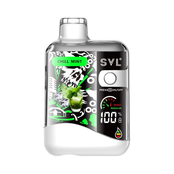 Best Deal SVL BX12000 Disposable Vape 18mL Chill Mint